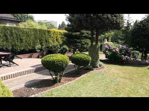 Ogród po pielęgnacji 12 lipiec