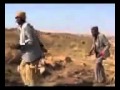 Omkhula Mugabe Tsvangirai Relay