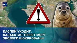 Каспий обмелел на десятки километров: что делать?