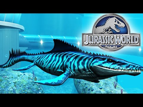Mosasaurus Max Level 40 | Jurassic World The Game