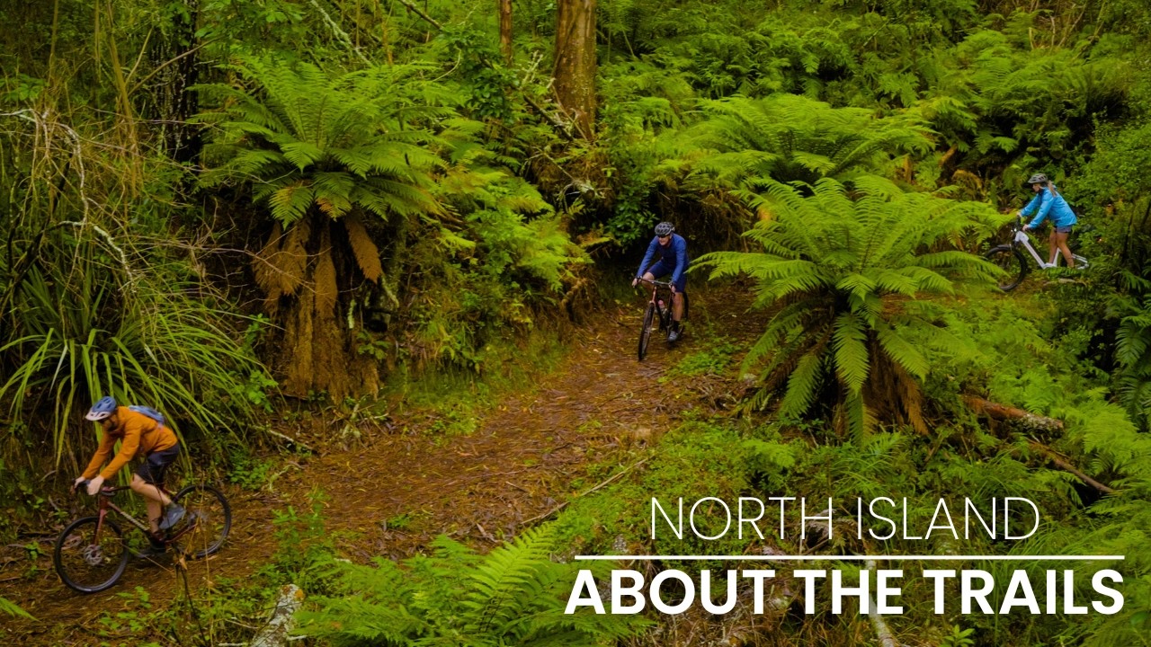 North Island Cycling Adventures | Adventure South NZ