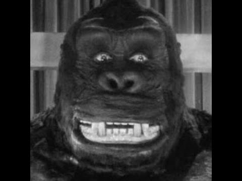 Gebroeders Pompsloper "krieg der sterne"  jungle smasher