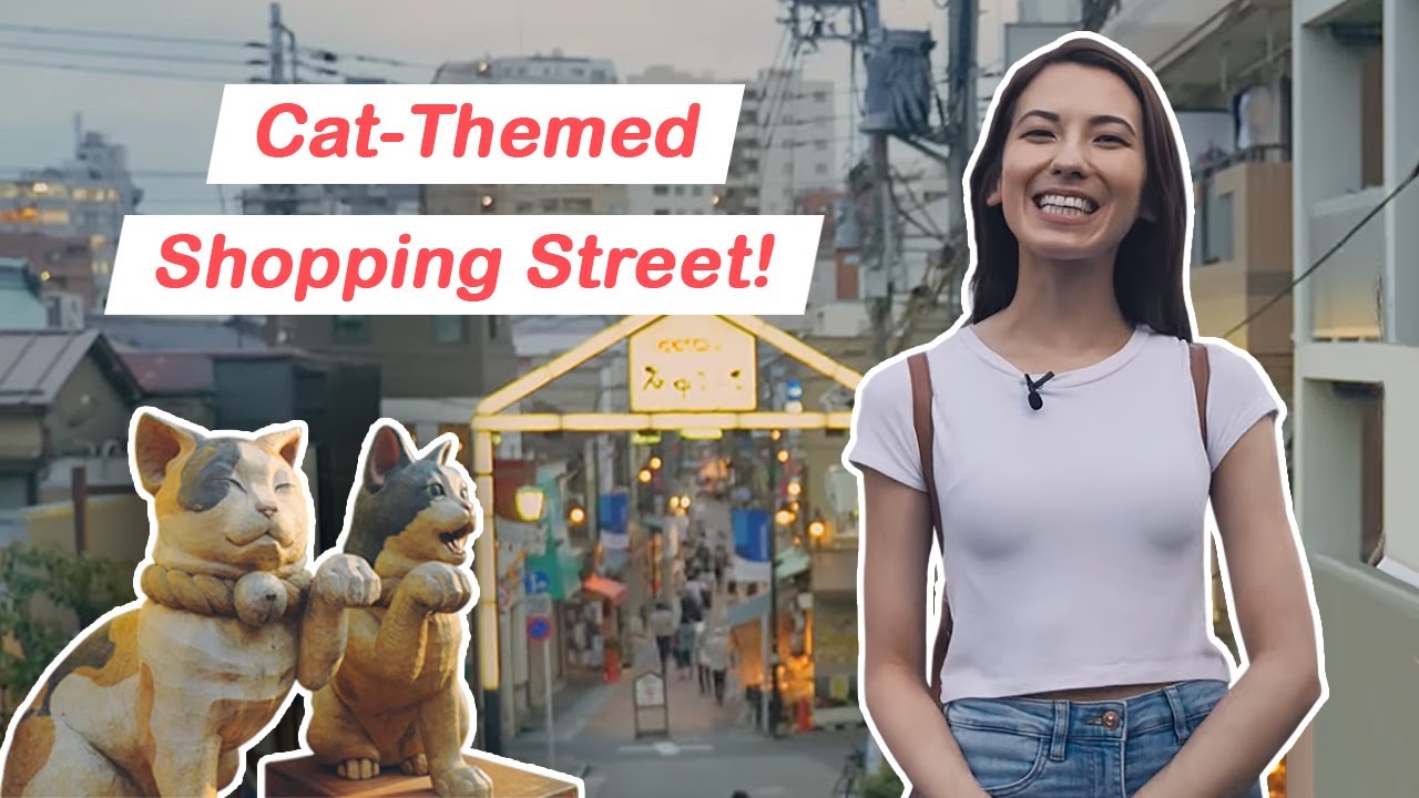 Immerse in the finest culinary delights of Yanaka Ginza Shopping Street through this video.