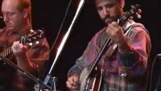 35－Tony Furtado－Banjo Meltdown 1992