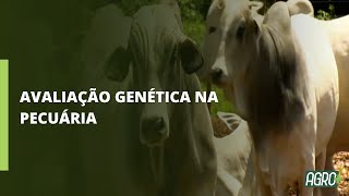 Miniatura do vídeo