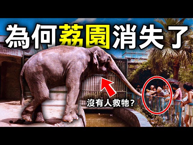 https-::www.youtube.com:watch?v=TSJwMZvw