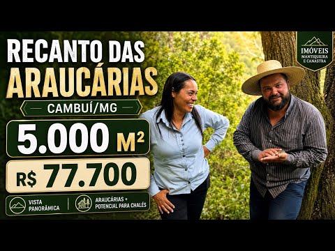     🏔️ Refúgio na Serra da Mantiqueira! 5.000m² com Vista por R$ 77.700
