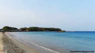 preview picture of video 'Beach Trincomalee'