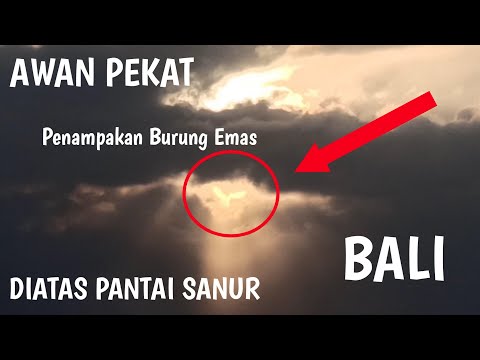 PANTAI SANUR BALI - TAMPAK BURUNG EMAS SAAT AWAN PEKAT DIATAS  PANTAI