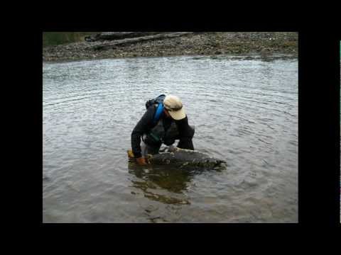 Pescando Chinook en Puerto Varas, Chile