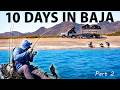 Overland Camping Kayak Fishing Remote Beaches In Baja Catch Cook