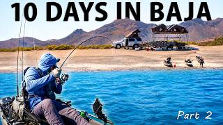 Overland Camping & Kayak Fishing Remote Beaches in Baja (Catch & Cook)