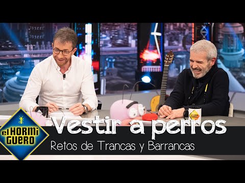 Lorenzo Caprile se moja sobre la tendencia de vestir a sus perros - El Hormiguero
