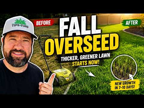 How To Do A Fall Overseed (Step-by-Step)
