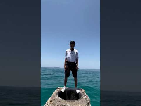 VIBRONICS 🇬🇧 • Dub Nation /Dubs On A Mission •