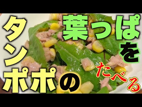 庭で採れたタンポポを食べてもいいですか？彼らの利点は何ですか?どのように選んで保管すればよいでしょうか？  庭園