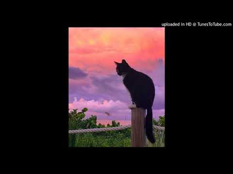 [FREE FOR PROFIT] CAKEBOY x SLAVA MARLOW x THOMAS MRAZ Type Beat - "Endless" [Prod. by SKYWARP OG-X]