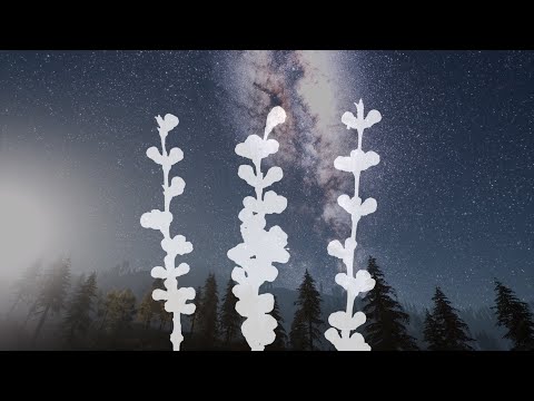 Krister Linder - Vine of Souls  ♥︎