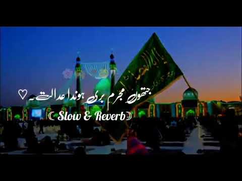 jitho mujrim Bari honde adult Hussain de a