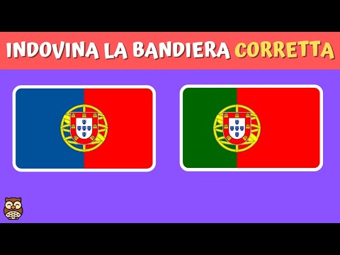 Riesci a indovinare la bandiera corretta? | Quiz bandiere