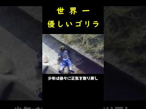 武装したメスのチンパンジー