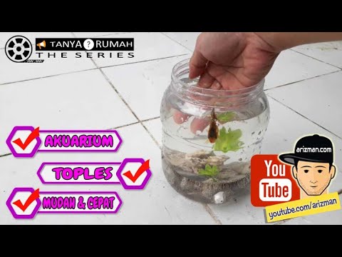 cara-membuat-toples-akuarium