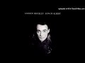 Andrew Ridgeley Red Dress 1990