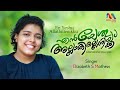 En Yeshu Allathillenikku | എൻ യേശു  | Malayalam Christian Song | Elizabeth S | Match Point Faith |