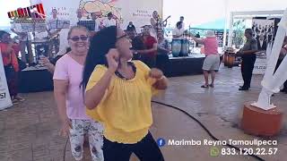 Demoreel Marimba Reyna Tamaulipeca