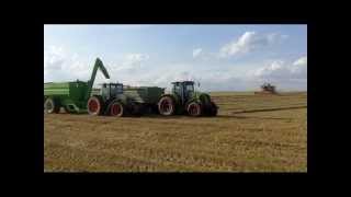 Новый бункер-перегрузчик зерна G&uuml;stower GTU 21 | Изображение 5 - Agroline