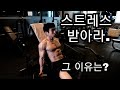 [한의빌더] 스트레스 받아라. 그 이유는?