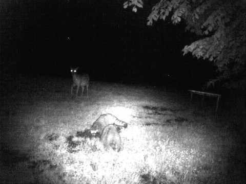 2011 05 25 2011 5 26 yard 099