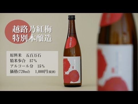 Koshijinokobai special pure brew