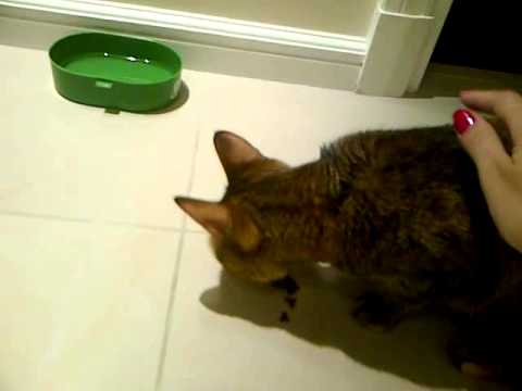 Agata y Jack   Day 2    Vid 4