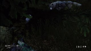 「Dayz」草むらに隠れていれば狼をやり過ごせる説を検証してみた「PS5」