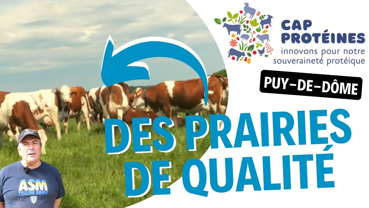 Cap Protéines - viser l'autonomie protéique par la qualité de l'herbe