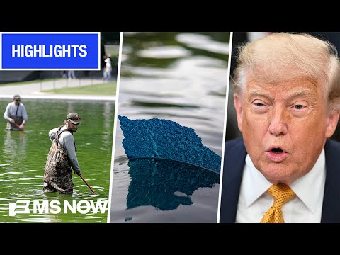 'Puke green' water, peeling paint & 'authoritarian' arrests muddy Trump’s $14M reflecting pool plans