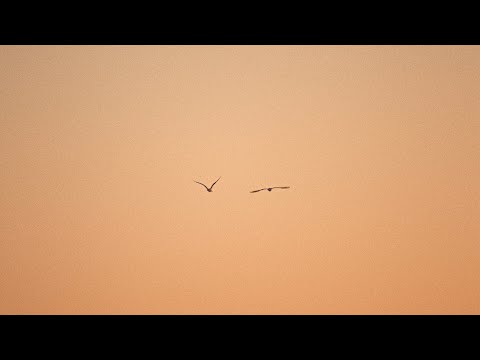 [Playlist] 내가 사랑한 요시마타 료의 음악