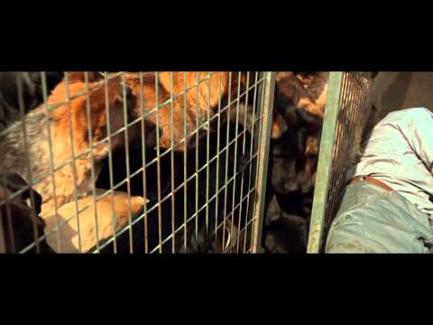 White God (Clip 'Dogs Break Free')