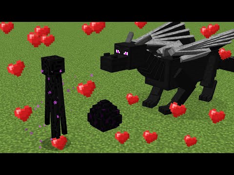 enderman ❤️ ender dragon
