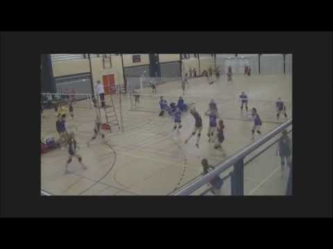 Reflex D1 - Rivo D1 (compilatie)