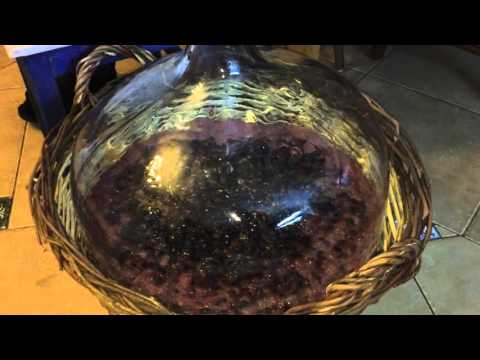 Zapytaj Benka odc. 6 - wina domowe