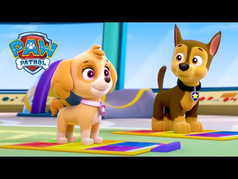 Zajęcia taneczne - Psi Patrol PAW Patrol po polsku
