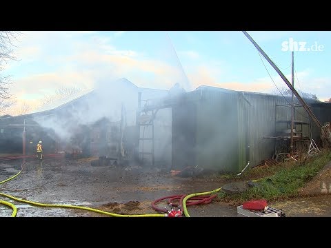 Feuer vernichtet Maschinenhalle auf Bauernhof in Klein Offenseth-Sparrieshoop