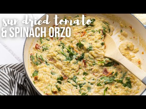 Sun Dried Tomato and Spinach Orzo l The Recipe Rebel