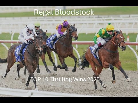 Regal Bloodstock Top 10 Countdown
