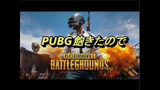 PUBG飽きたので
