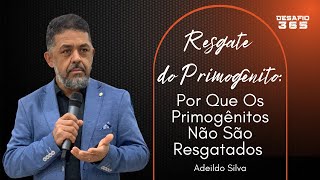 Resgate do Primogênito | Aula 13 - Por Que Os Primogênitos Não São Resgatados | DESAFIO 365 | #49