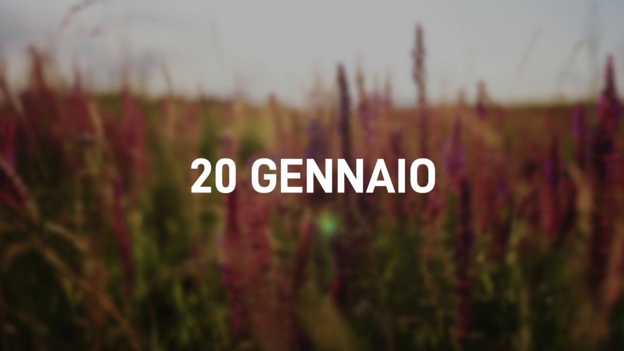 20 Gennaio 2025 | Meditazione Parole di Vita