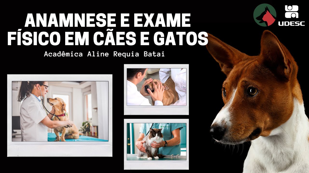 ANAMNESE E EXAME FÍSICO EM CÃES E GATOS
